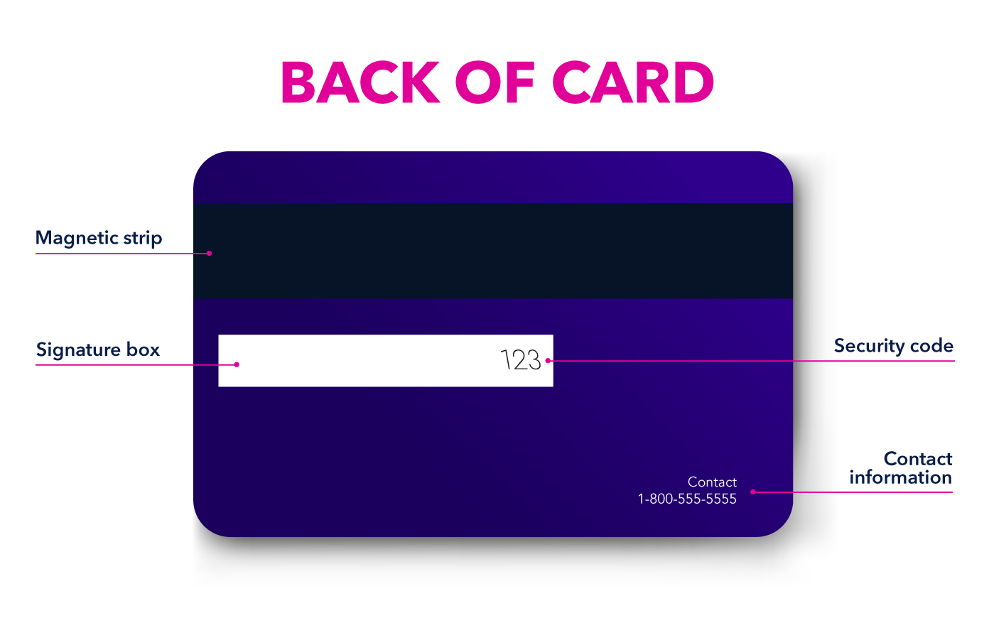 Cardholder back of card support